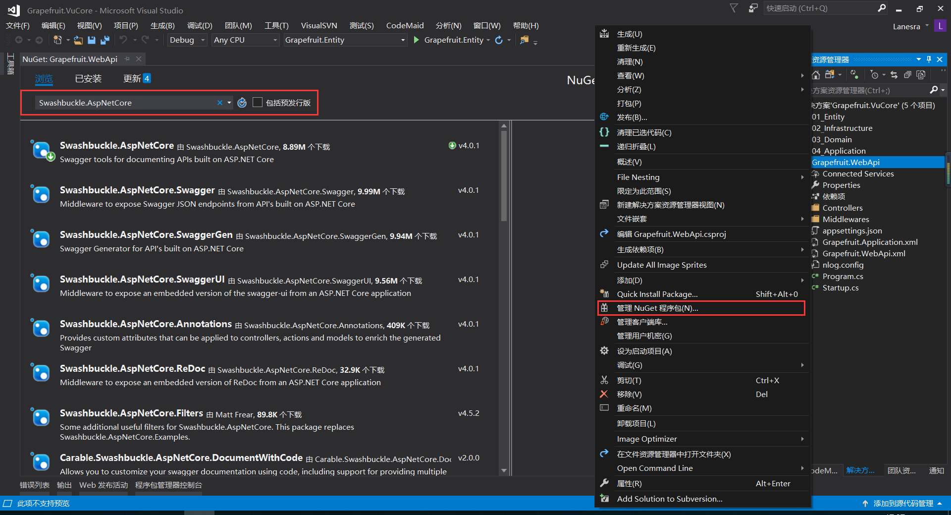 ASP.NET Core 实战：构建带有版本控制的 API 接口